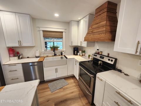 Tiny photo for 273 Vernie Lee Rd, Friendsville, TN 37737 (MLS # 1332488)