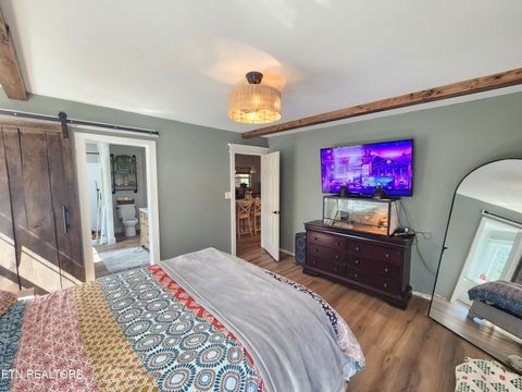 Tiny photo for 273 Vernie Lee Rd, Friendsville, TN 37737 (MLS # 1332488)