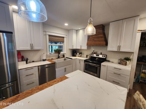 Tiny photo for 273 Vernie Lee Rd, Friendsville, TN 37737 (MLS # 1332488)