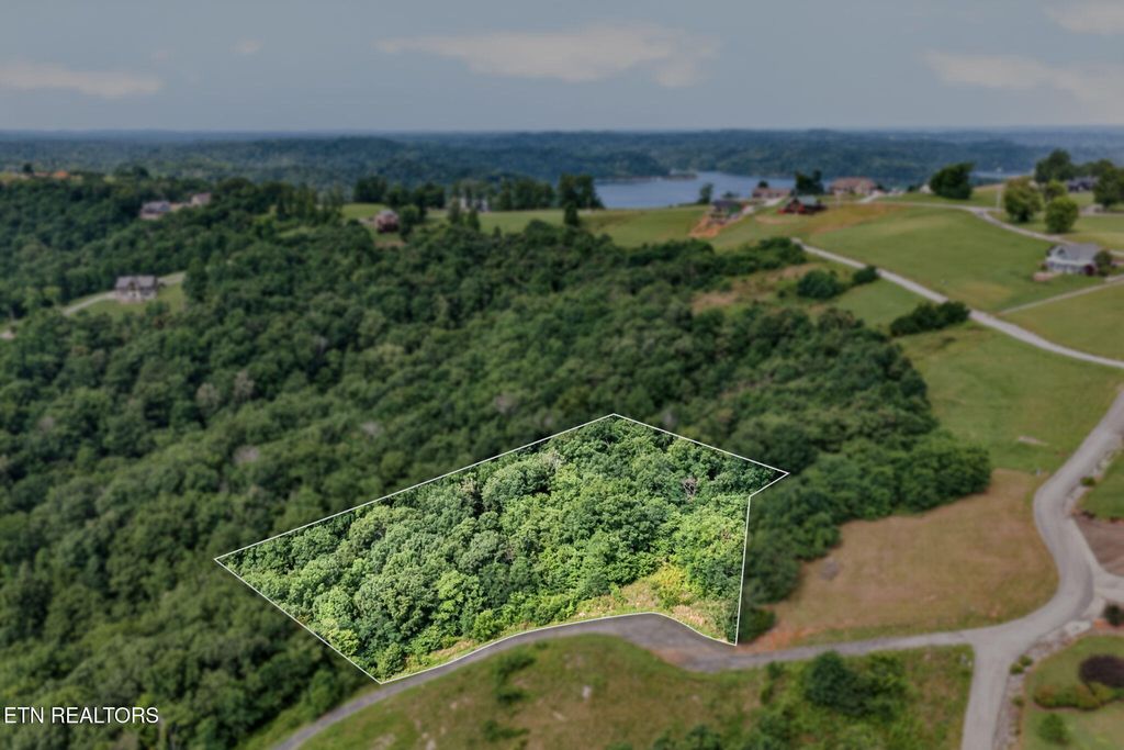 Photo of 0 Turtle Lane, Celina, TN 38551 (MLS # 1344409)