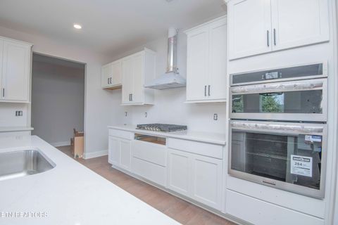 Tiny photo for 465 Ivey Farms Road (Lot 67), Farragut, TN 37934 (MLS # 1333529)