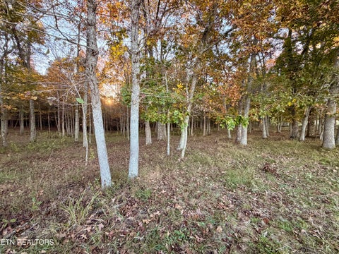 Tiny photo for Poke Patch Rd, Crossville, TN 38572 (MLS # 1359988)