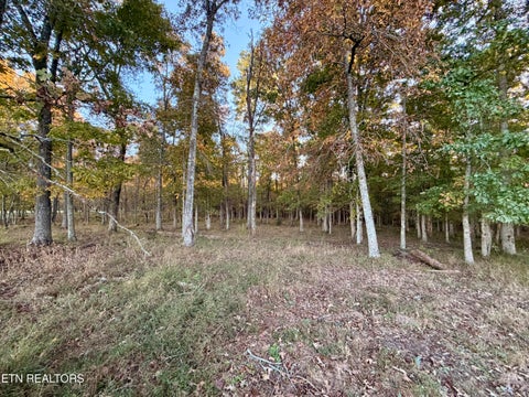 Tiny photo for Poke Patch Rd, Crossville, TN 38572 (MLS # 1359988)