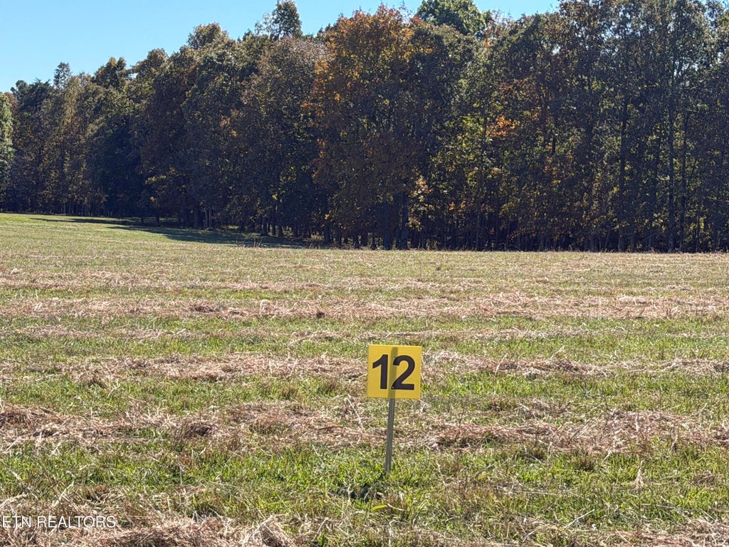 Photo of Poke Patch Rd, Crossville, TN 38572 (MLS # 1359988)