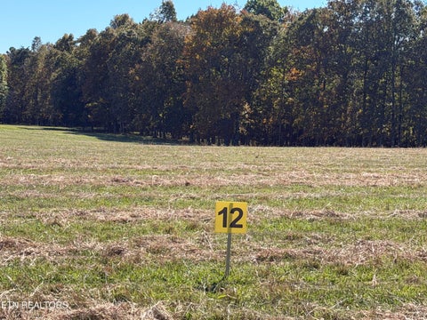 Tiny photo for Poke Patch Rd, Crossville, TN 38572 (MLS # 1359988)