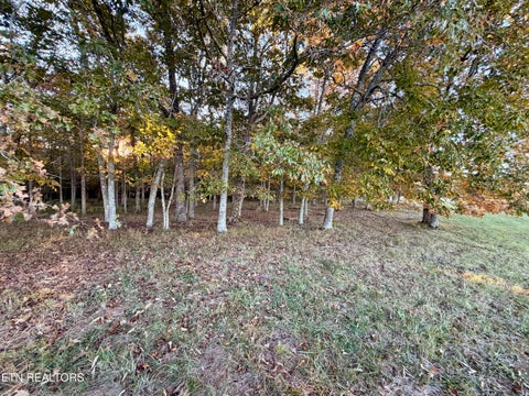 Tiny photo for Poke Patch Rd, Crossville, TN 38572 (MLS # 1359988)