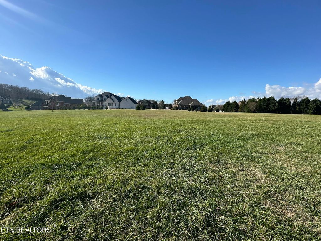 Photo of 3641 Calumet Drive, Louisville, TN 37777 (MLS # 1285769)