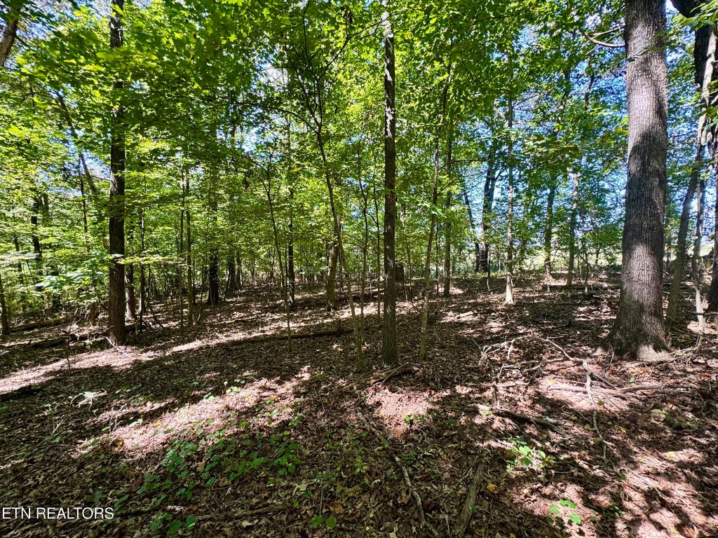 Photo of Randolph Fridley Rd, Sweetwater, TN 37874 (MLS # 1316527)