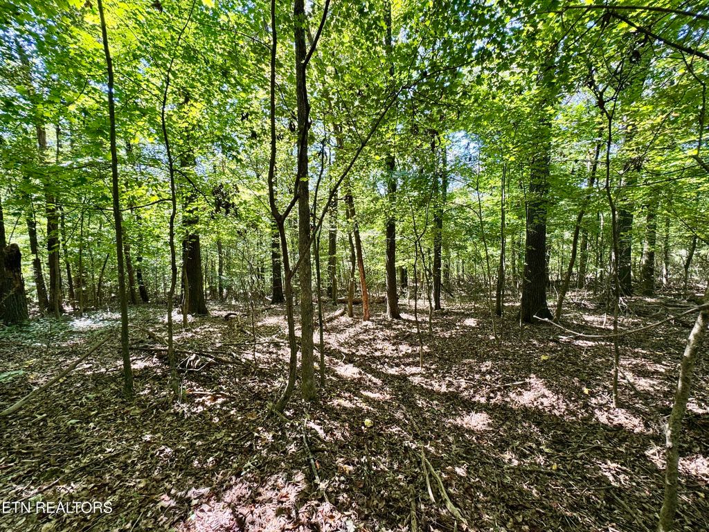 Photo of Randolph Fridley Rd, Sweetwater, TN 37874 (MLS # 1316527)