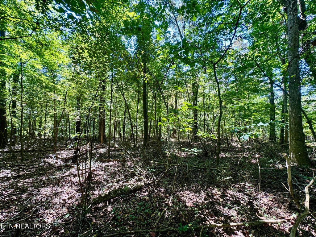 Photo of Randolph Fridley Rd, Sweetwater, TN 37874 (MLS # 1316527)