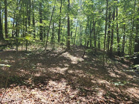 Tiny photo for Timber Ridge Rd, Sharps Chapel, TN 37866 (MLS # 1315704)