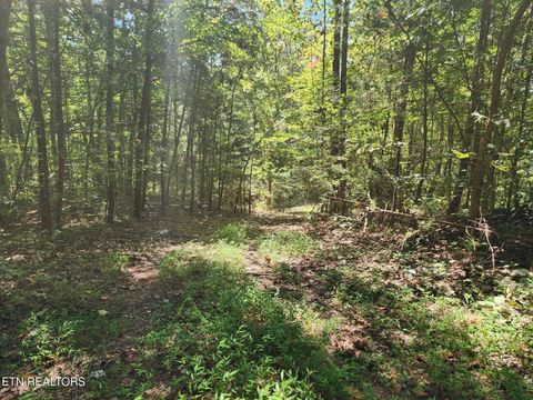 Tiny photo for Timber Ridge Rd, Sharps Chapel, TN 37866 (MLS # 1315704)
