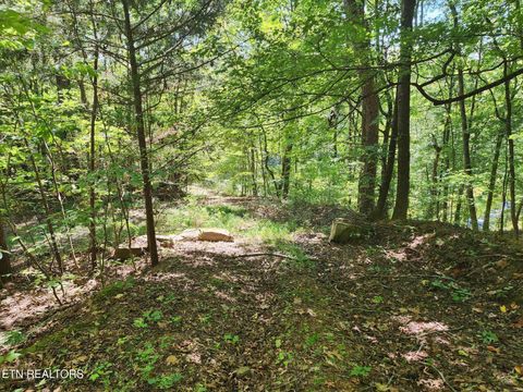 Tiny photo for Timber Ridge Rd, Sharps Chapel, TN 37866 (MLS # 1315704)