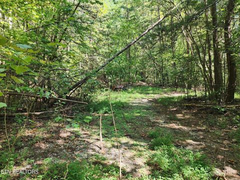 Tiny photo for Timber Ridge Rd, Sharps Chapel, TN 37866 (MLS # 1315704)