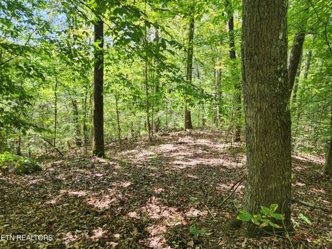 Tiny photo for Timber Ridge Rd, Sharps Chapel, TN 37866 (MLS # 1315704)