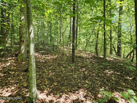 Tiny photo for Timber Ridge Rd, Sharps Chapel, TN 37866 (MLS # 1315704)