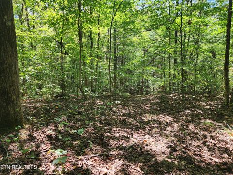Tiny photo for Timber Ridge Rd, Sharps Chapel, TN 37866 (MLS # 1315704)