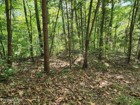 Tiny photo for Timber Ridge Rd, Sharps Chapel, TN 37866 (MLS # 1315704)