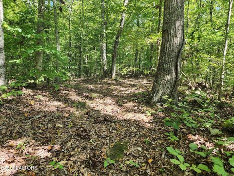 Tiny photo for Timber Ridge Rd, Sharps Chapel, TN 37866 (MLS # 1315704)