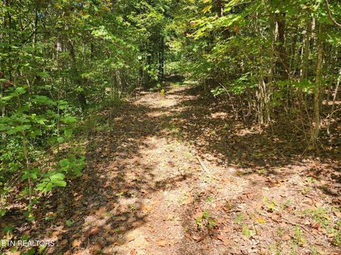 Tiny photo for Timber Ridge Rd, Sharps Chapel, TN 37866 (MLS # 1315704)