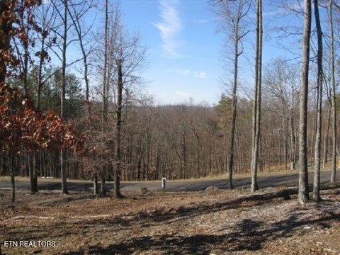 Lot #32 Bayside Blvd Bean Station TN 37708