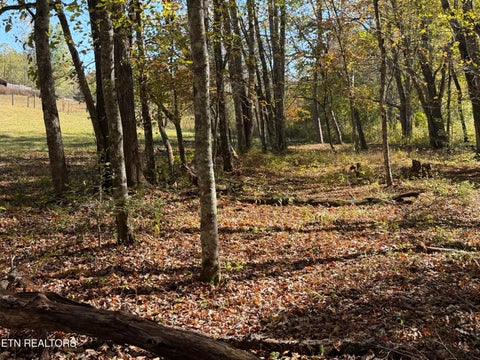 Tiny photo for 825 Ridge Gap Rd, Rockwood, TN 37854 (MLS # 1360085)