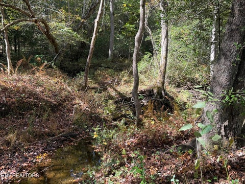 Tiny photo for 825 Ridge Gap Rd, Rockwood, TN 37854 (MLS # 1360085)