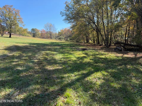 Tiny photo for 825 Ridge Gap Rd, Rockwood, TN 37854 (MLS # 1360085)