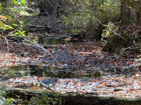 Tiny photo for 825 Ridge Gap Rd, Rockwood, TN 37854 (MLS # 1360085)