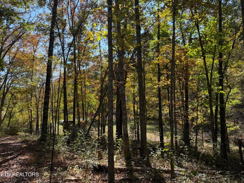 Tiny photo for 825 Ridge Gap Rd, Rockwood, TN 37854 (MLS # 1360085)
