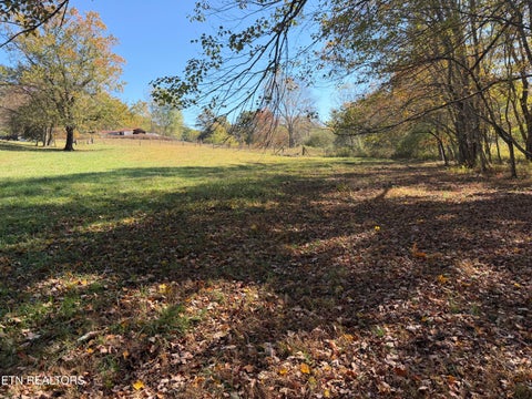 Tiny photo for 825 Ridge Gap Rd, Rockwood, TN 37854 (MLS # 1360085)