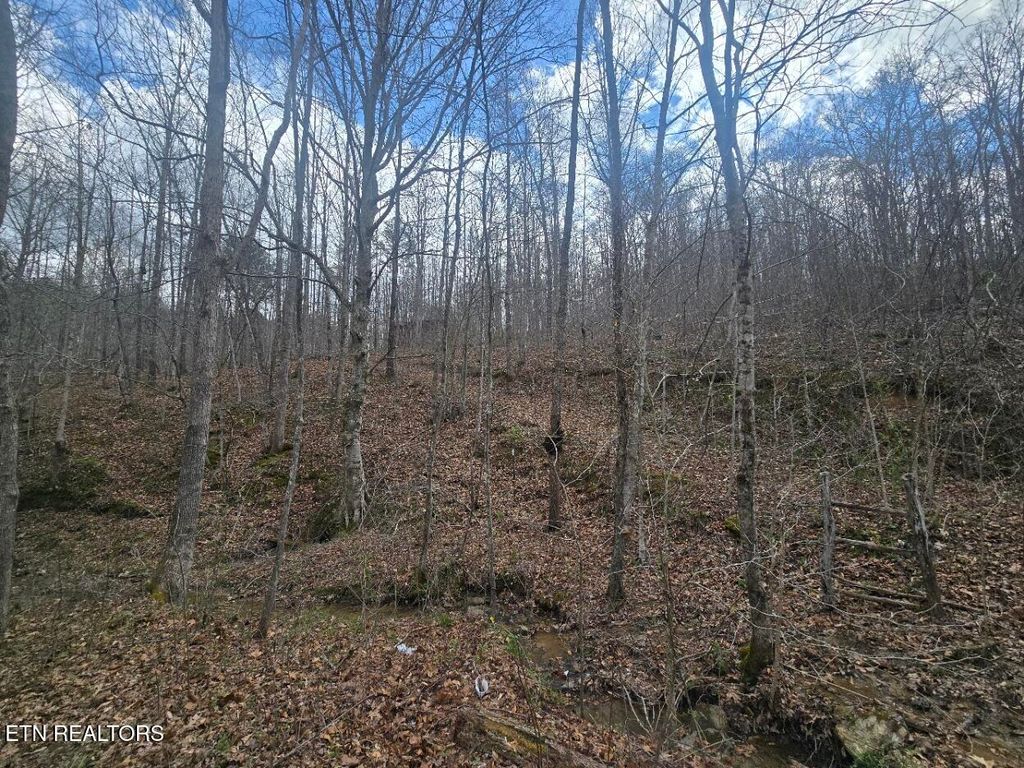 Photo of 0 Straight Fork Rd, Huntsville, TN 37756 (MLS # 1296813)