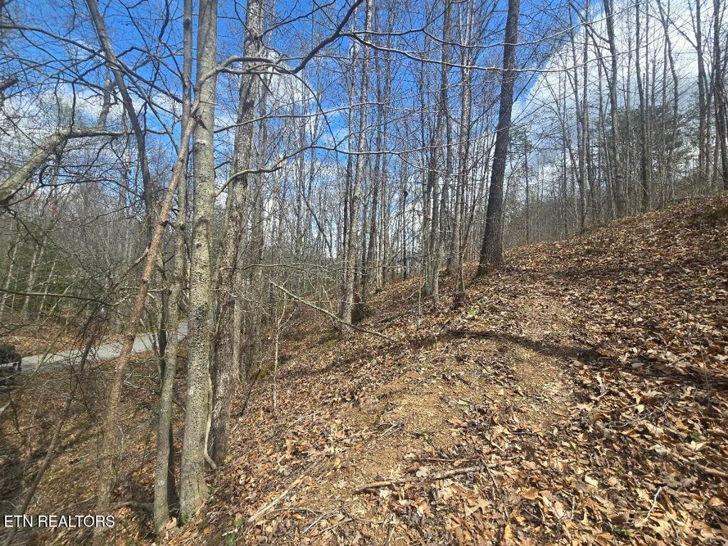 Photo of 0 Straight Fork Rd, Huntsville, TN 37756 (MLS # 1296813)