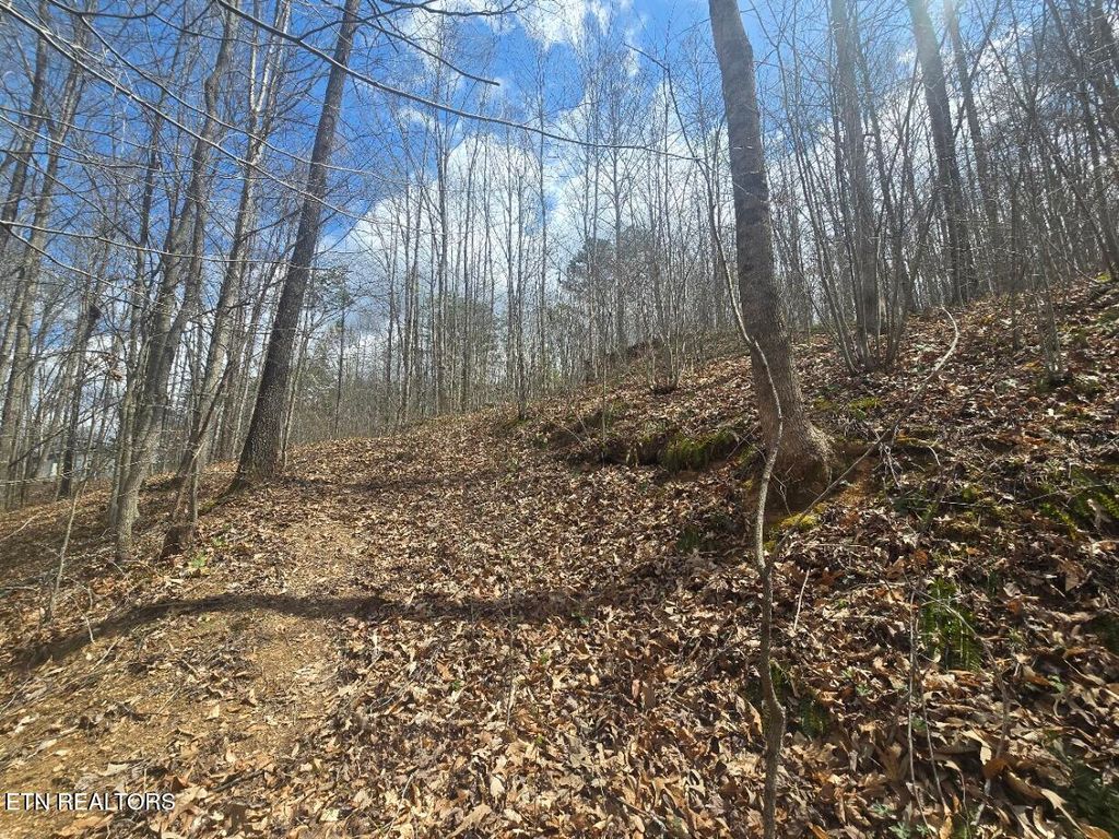 Photo of 0 Straight Fork Rd, Huntsville, TN 37756 (MLS # 1296813)