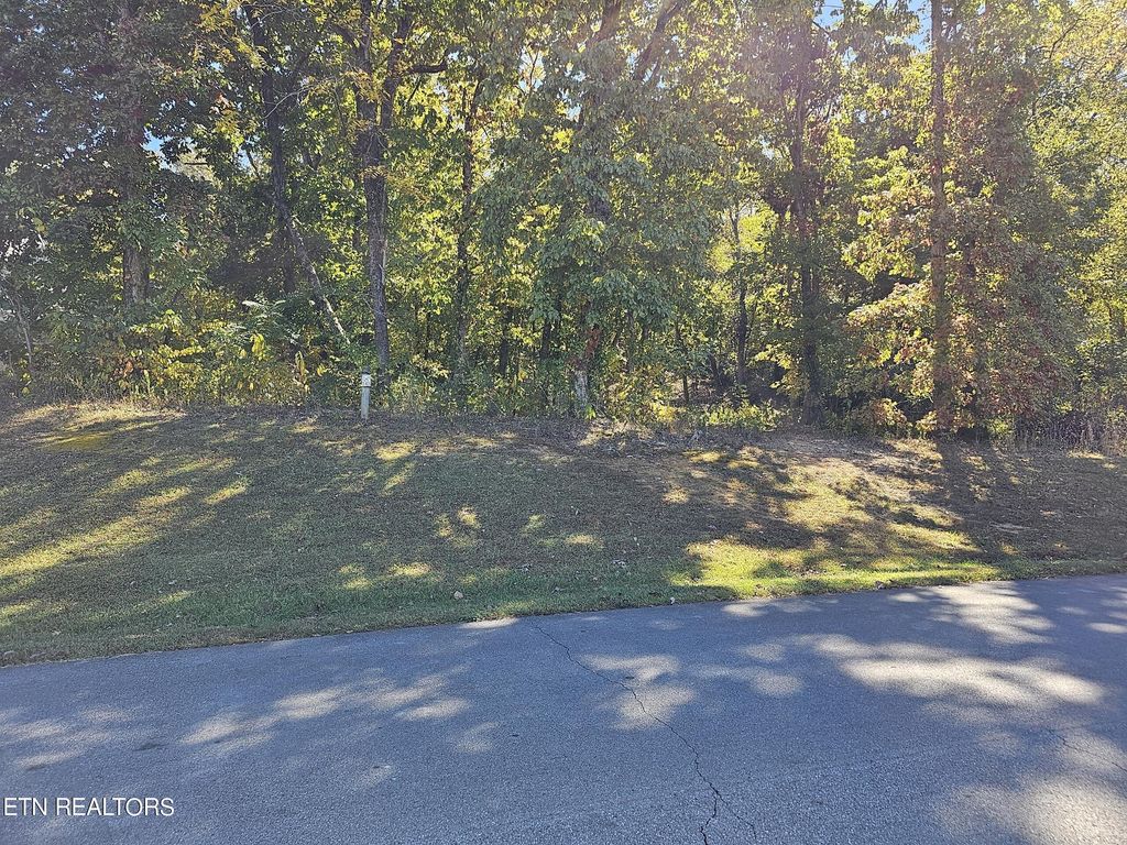 Photo of 3406 Lanyard Lane, Louisville, TN 37777 (MLS # 1273074)