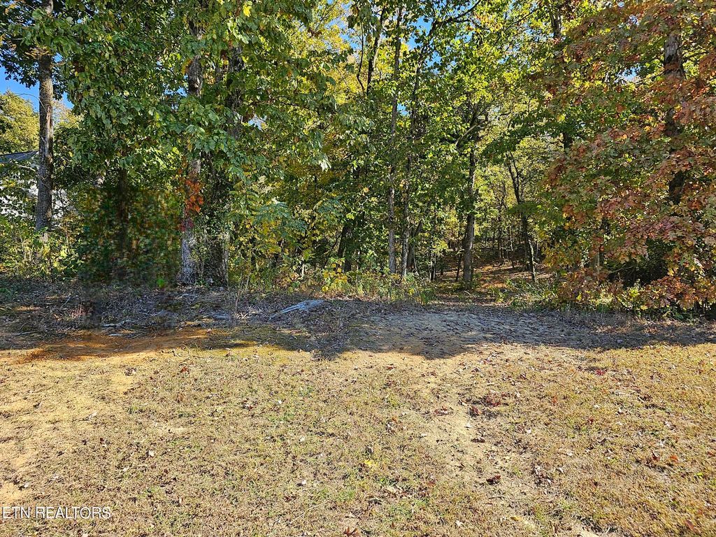 Photo of 3406 Lanyard Lane, Louisville, TN 37777 (MLS # 1273074)