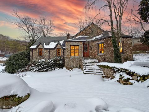 Tiny photo for 508 Concord Rd, Knoxville, TN 37934 (MLS # 1333474)