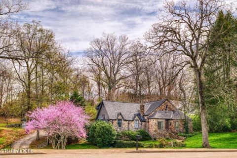 Tiny photo for 508 Concord Rd, Knoxville, TN 37934 (MLS # 1333474)