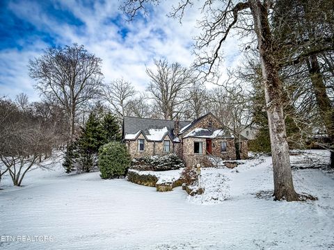 Tiny photo for 508 Concord Rd, Knoxville, TN 37934 (MLS # 1333474)