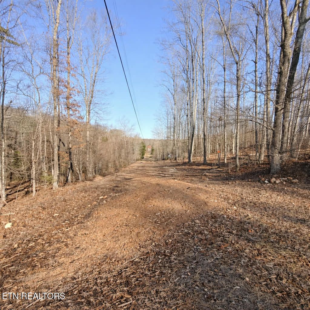 Photo of 7 Bill West Rd, Ten Mile, TN 37880 (MLS # 1328792)