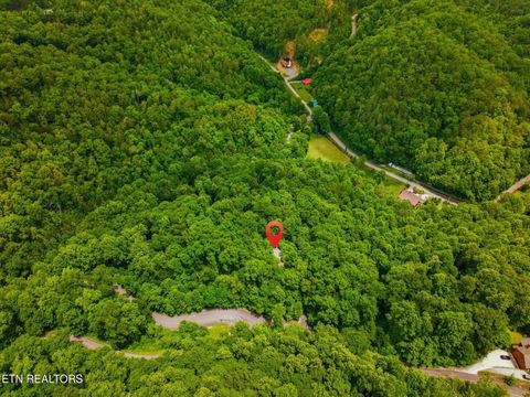 Tiny photo for 2405 Deep Spring Lane, Sevierville, TN 37862 (MLS # 1343239)