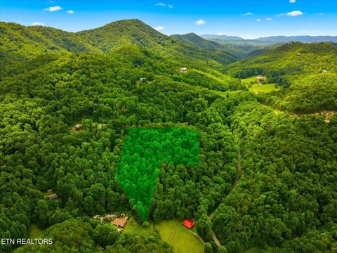 Tiny photo for 2405 Deep Spring Lane, Sevierville, TN 37862 (MLS # 1343239)