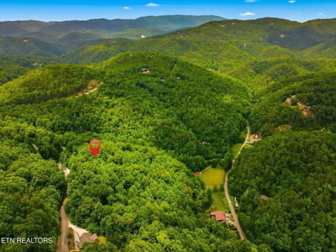 Tiny photo for 2405 Deep Spring Lane, Sevierville, TN 37862 (MLS # 1343239)