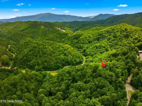 Tiny photo for 2405 Deep Spring Lane, Sevierville, TN 37862 (MLS # 1343239)