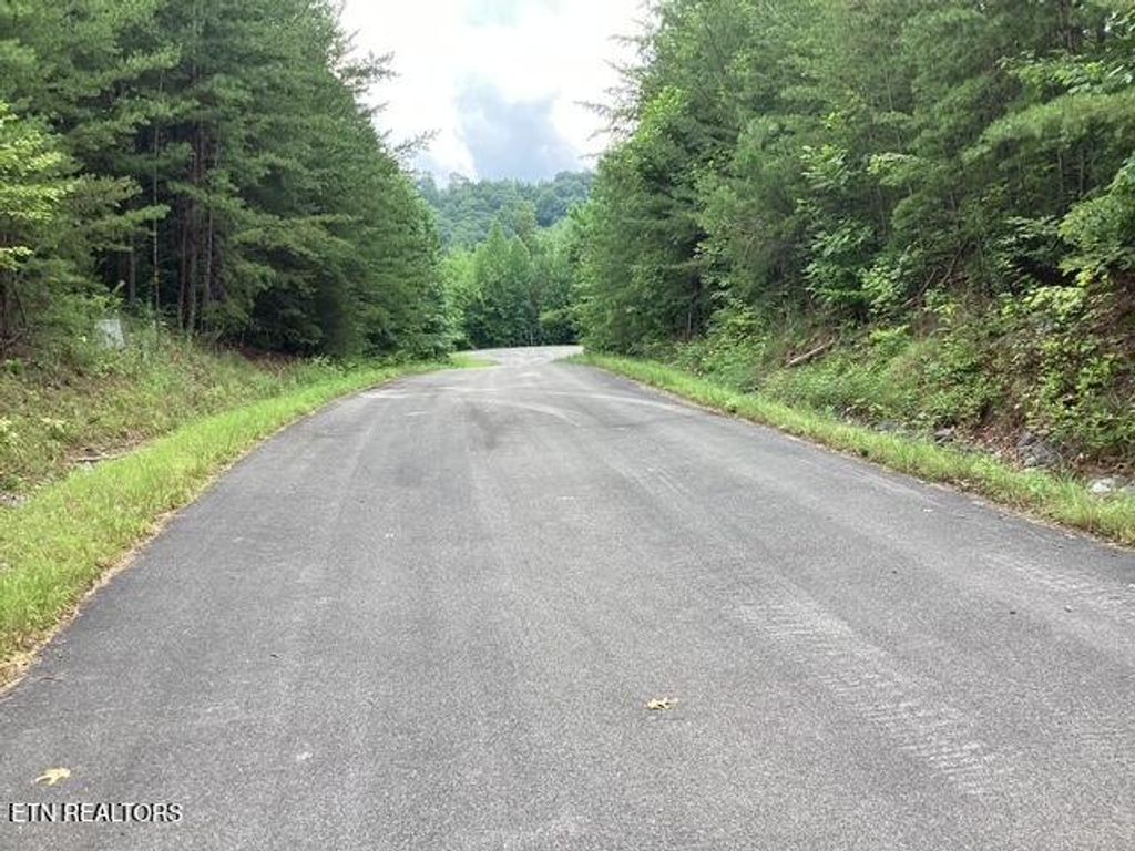 Photo of 514 Percussion Court, Walland, TN 37886 (MLS # 1309899)