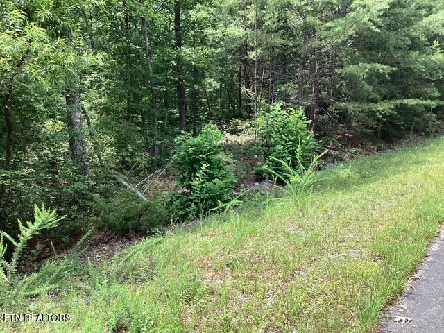 514 Percussion Court