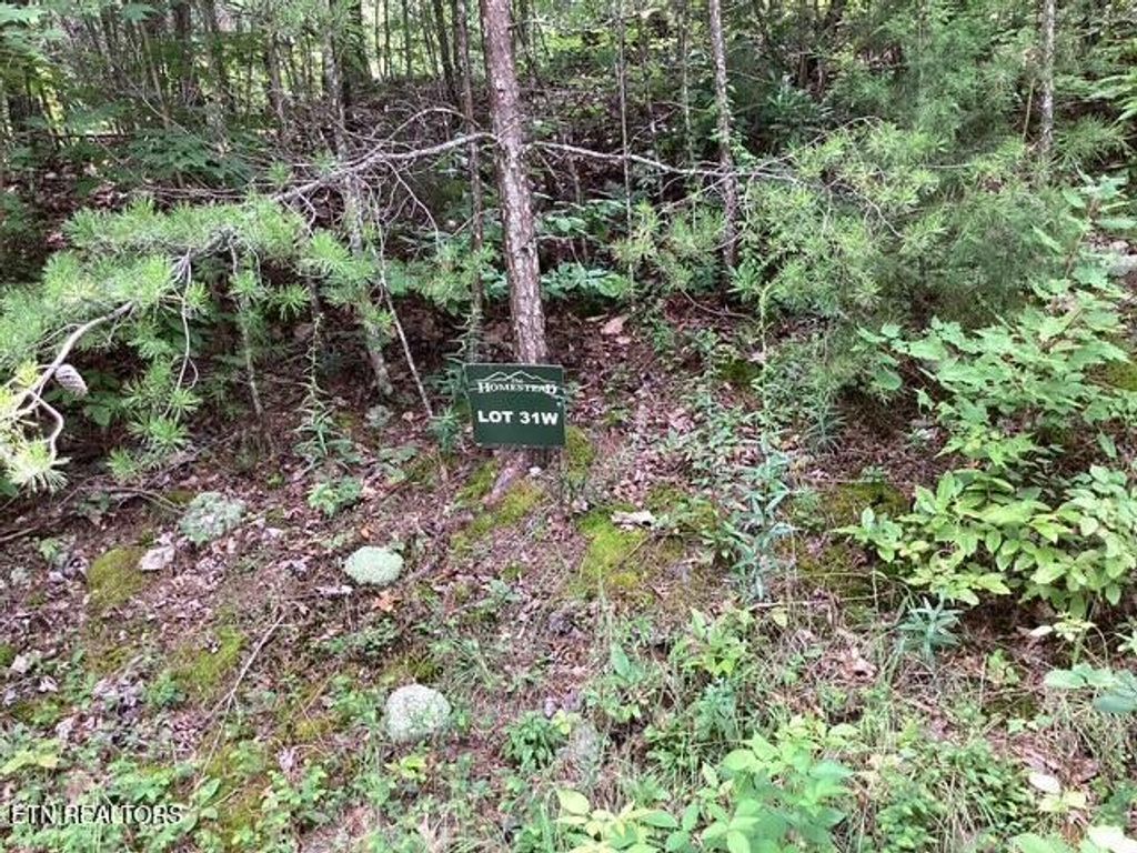 Photo of 514 Percussion Court, Walland, TN 37886 (MLS # 1309899)