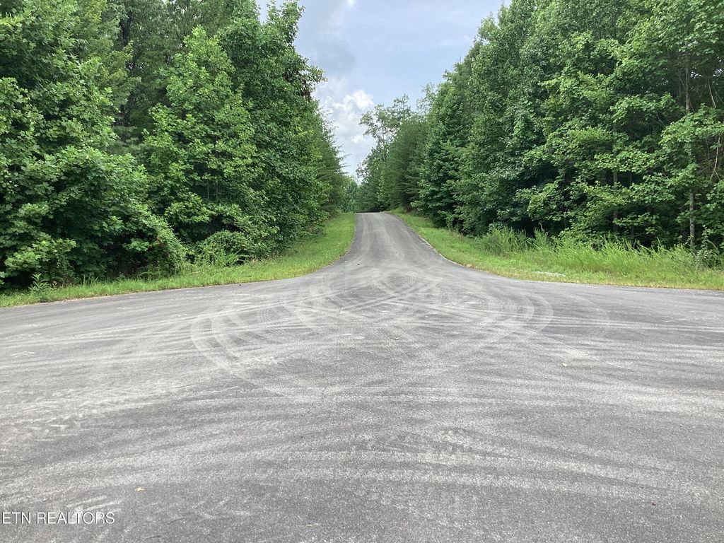 Photo of 514 Percussion Court, Walland, TN 37886 (MLS # 1309899)