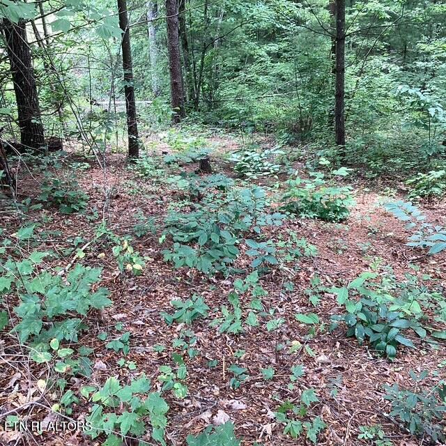 514 Percussion Court