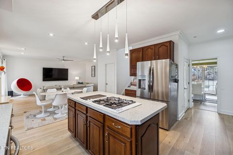 Tiny photo for 1330 Berkley Hills Lane, Powell, TN 37849 (MLS # 1326442)